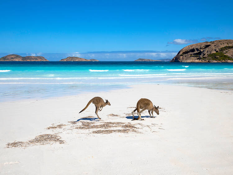 The 20 best beaches in Australia The 20 best beaches in Australia