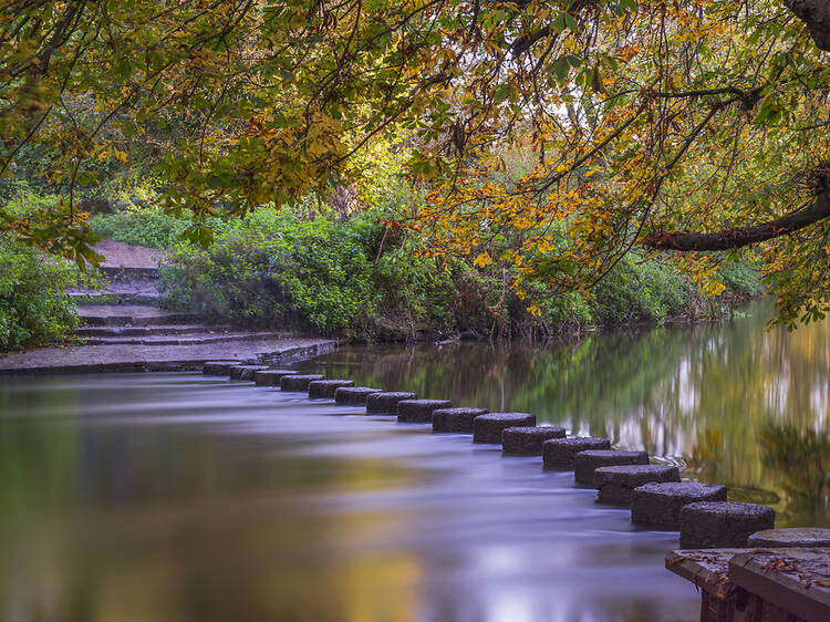 The best scenic walks near London