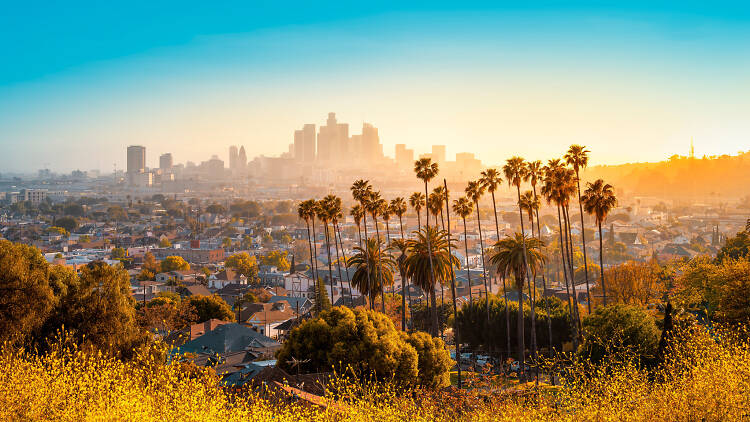 The 75 best things to do in L.A. this summer