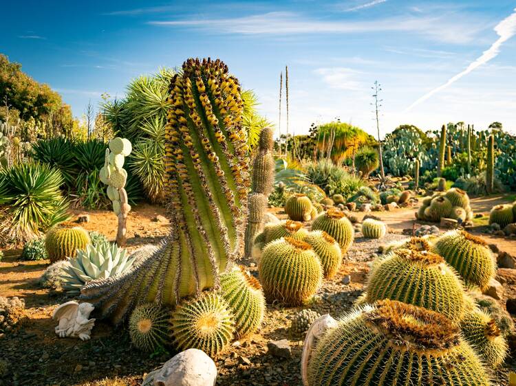 Discover the most beautiful secret gardens in Melbourne